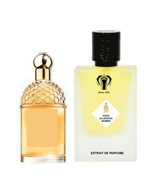 اكوا اليغوريا من السهرة 